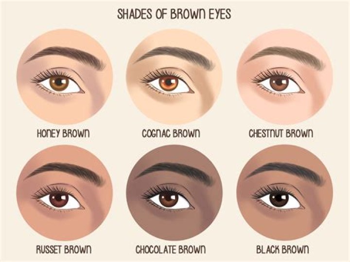 Are all eyes brown?