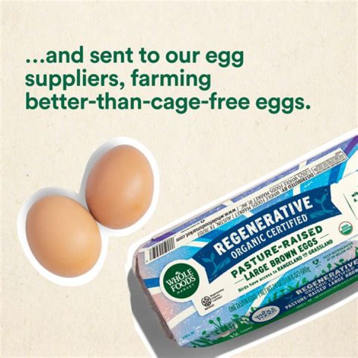 Are cage-free eggs better than organic?