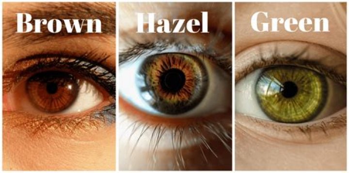 Are my eyes hazel or brown?