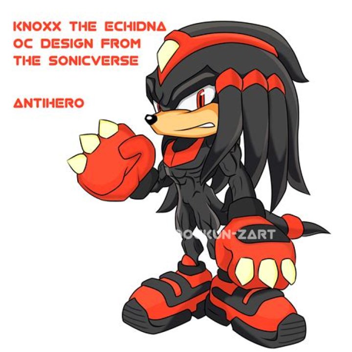 Are the echidnas evil Sonic?