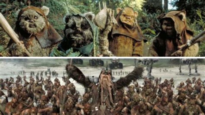 Are Wookies and Ewoks related?