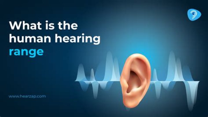 Can a human hear a mouse squeak?