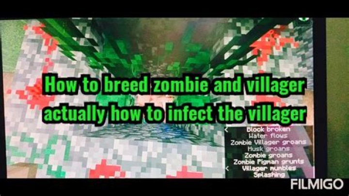 Can baby zombies infect villagers?