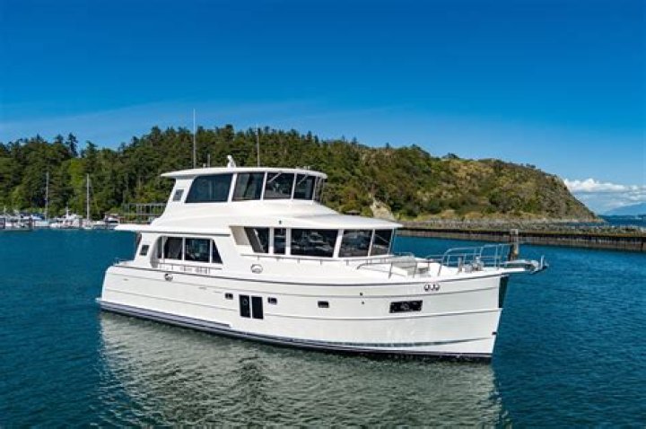 Can birds cross oceans?