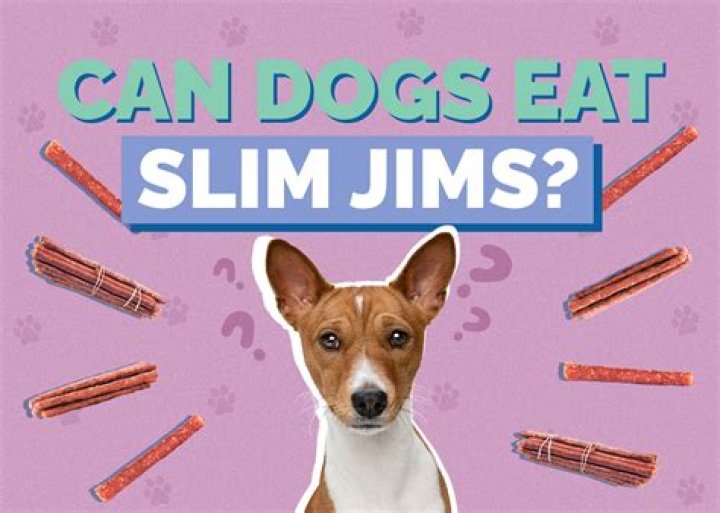 Can dogs eat Slim Jims?