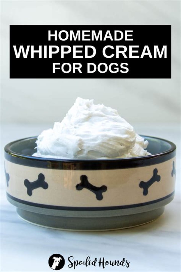 Can dogs have whipped cream?