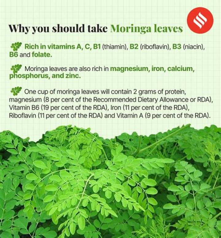 Can I boil moringa leaves and drink the water?