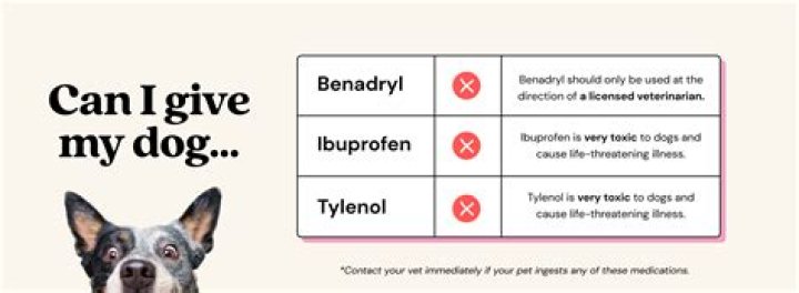 Can I give my dog Benadryl for itchy skin?