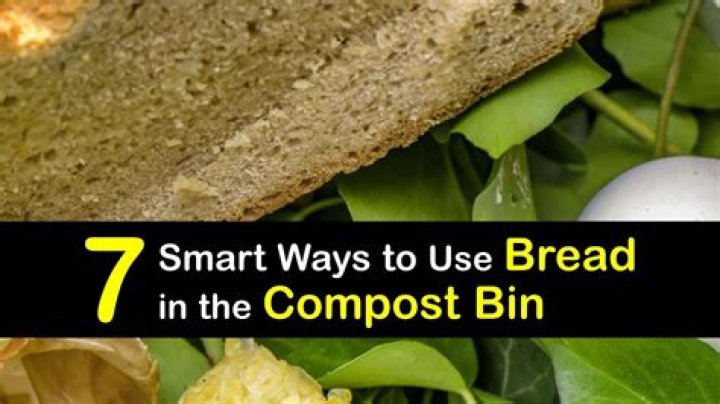 Can I put bread in compost?