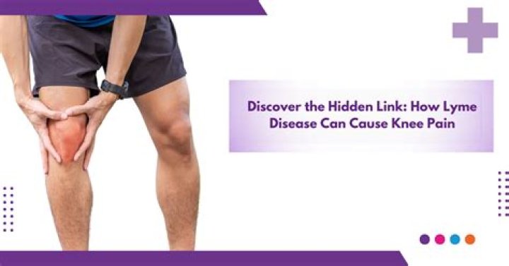 Can Lyme disease affect your legs?