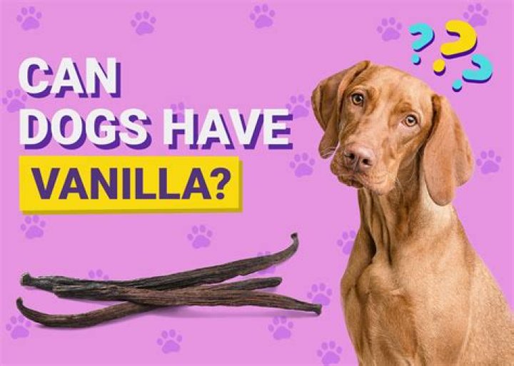 Can my dog have vanilla yogurt?