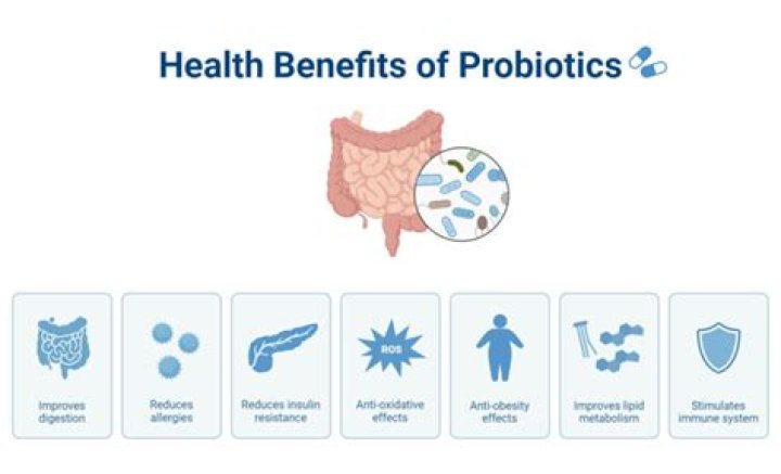 Can probiotics help with pancreatitis?