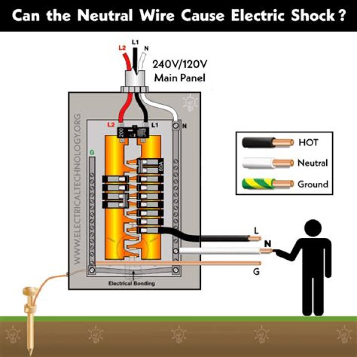 Can the neutral wire shock you?