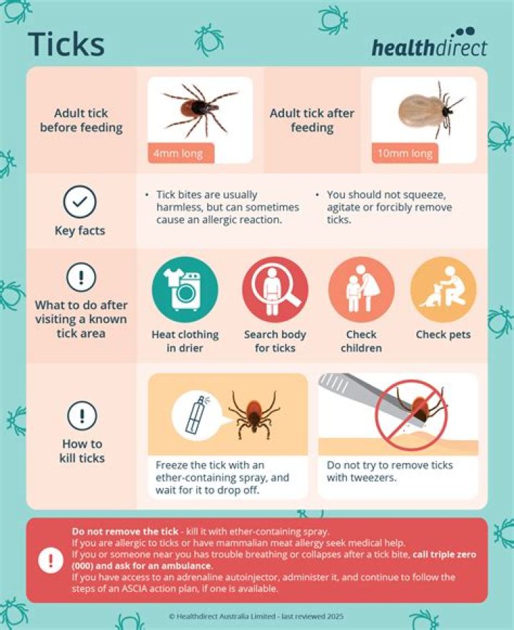 Can tick bites affect the heart?