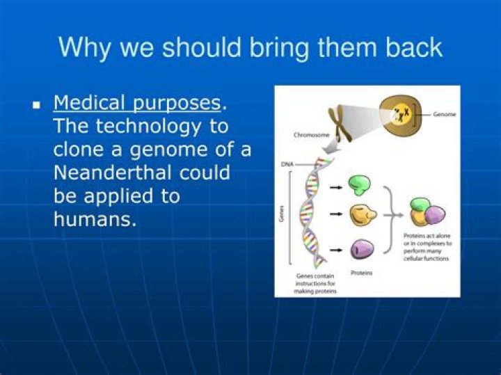 Can we bring back Neanderthals?