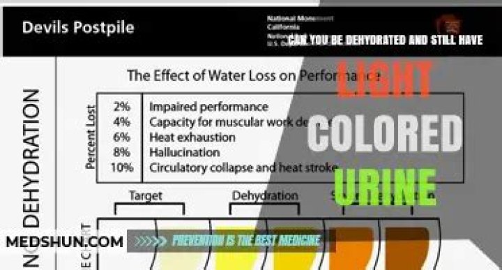 Can you be dehydrated with clear urine?
