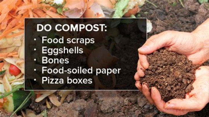 Can you compost nuts and seeds?