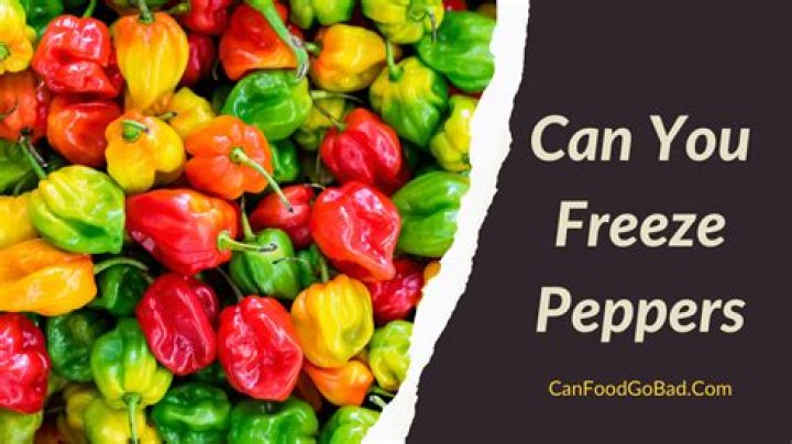 Can you freeze peppers?