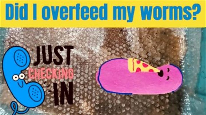 Can you overfeed worms?