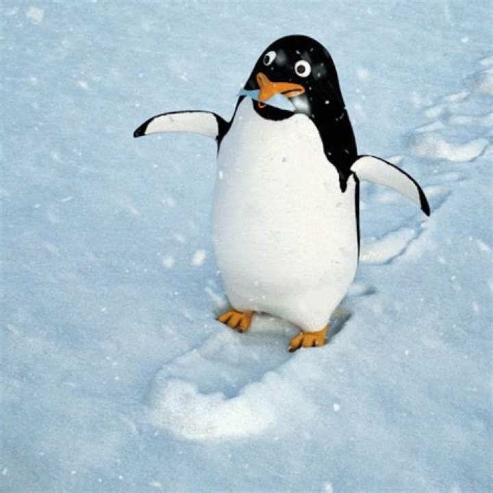 Can you pick up a penguin?