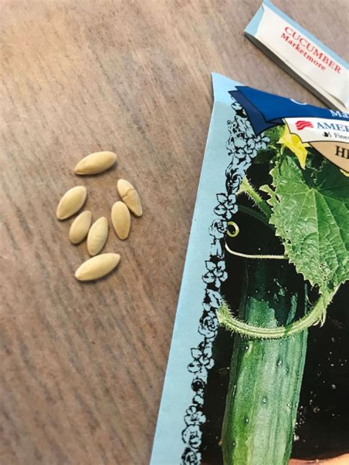 Can you put cucumber seeds in compost?