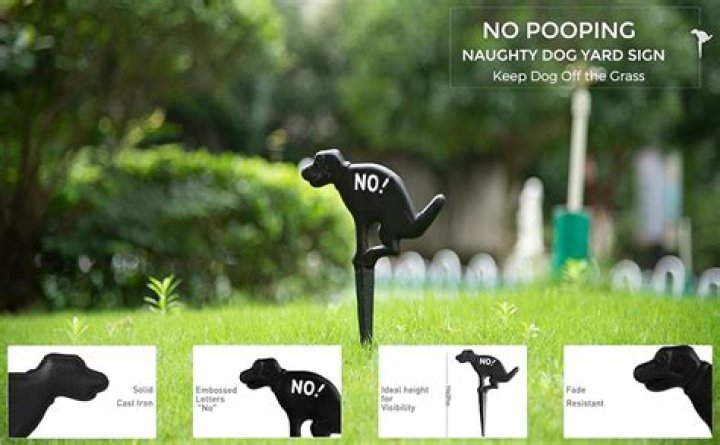 Can you put dog poop in a septic tank?