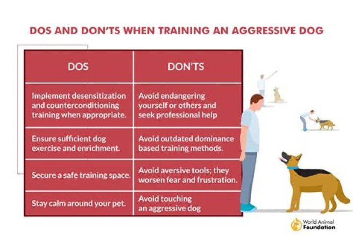 Can you train a dog to not be aggressive?