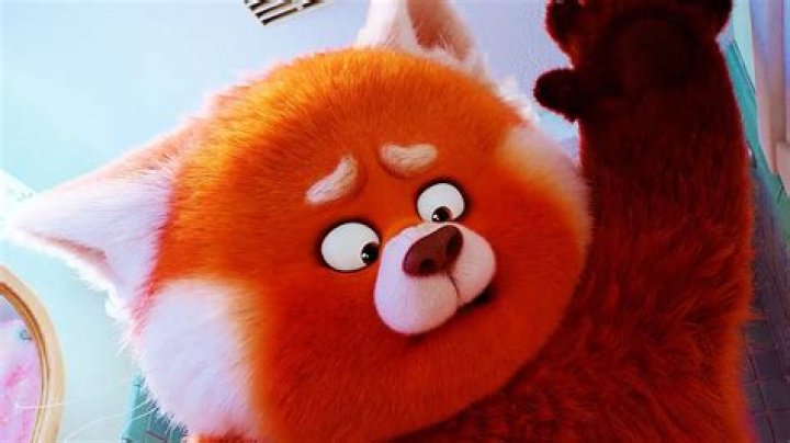 Did Mei keep her panda?