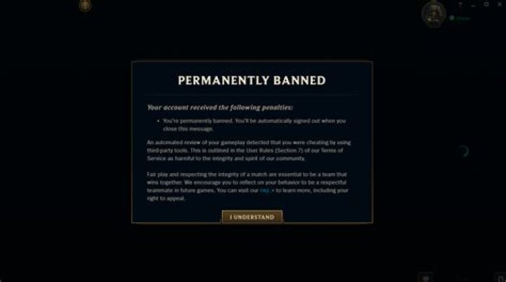 Did Minx get perma banned?