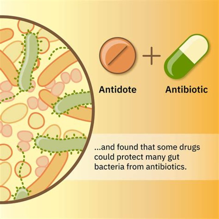 Do antibiotics destroy gut health?
