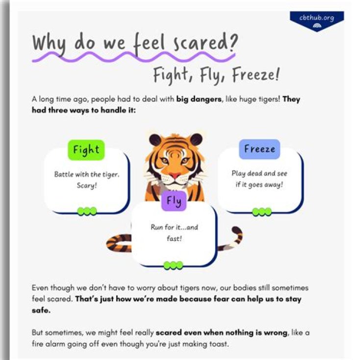 Do cats freeze when scared?