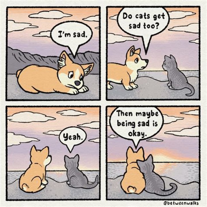 Do cats get sad if you ignore them?