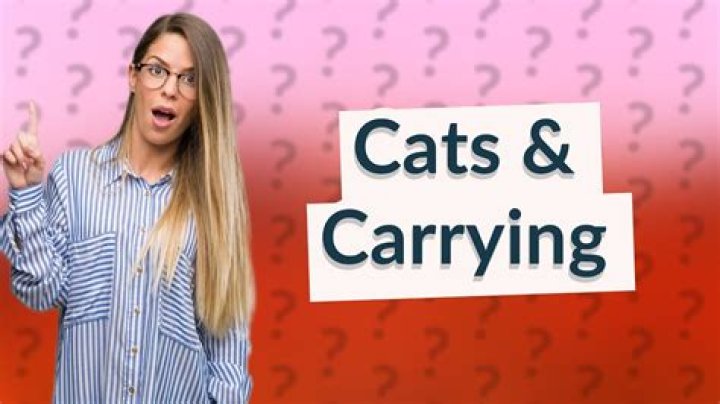 Do cats like being carried?