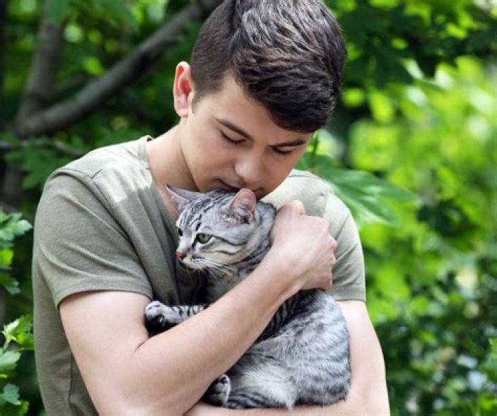 Do cats like being hugged?