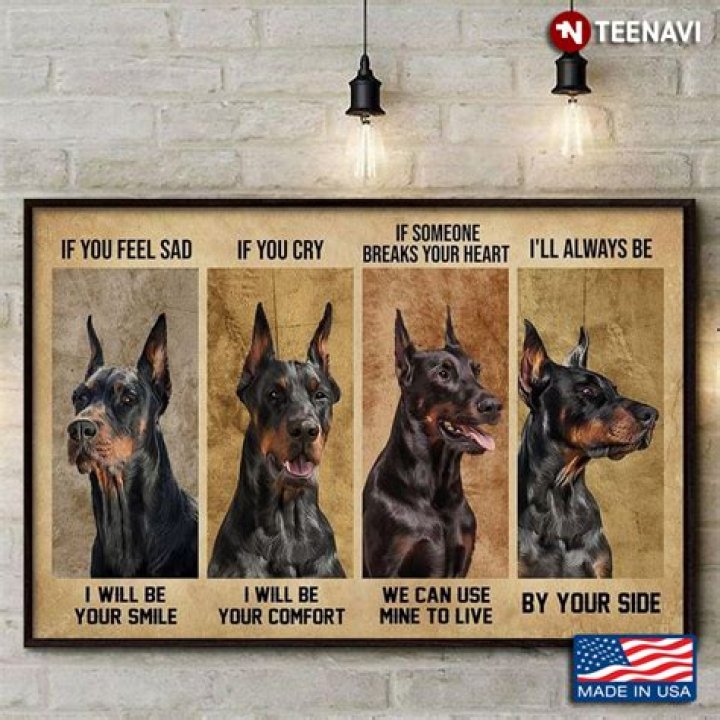 Do dogs comfort you when you cry?