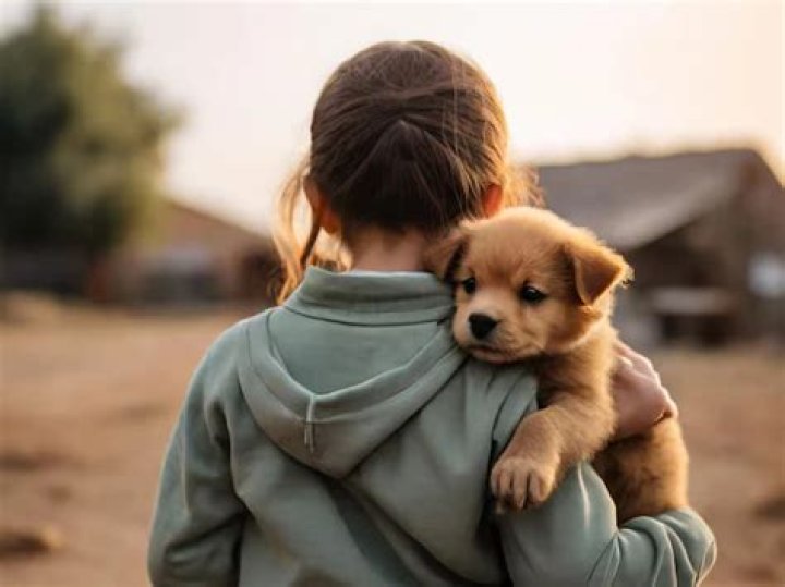 Do dogs have favorite humans?