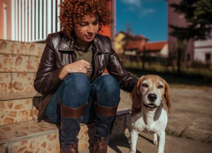 Do dogs know you're giving them kisses?