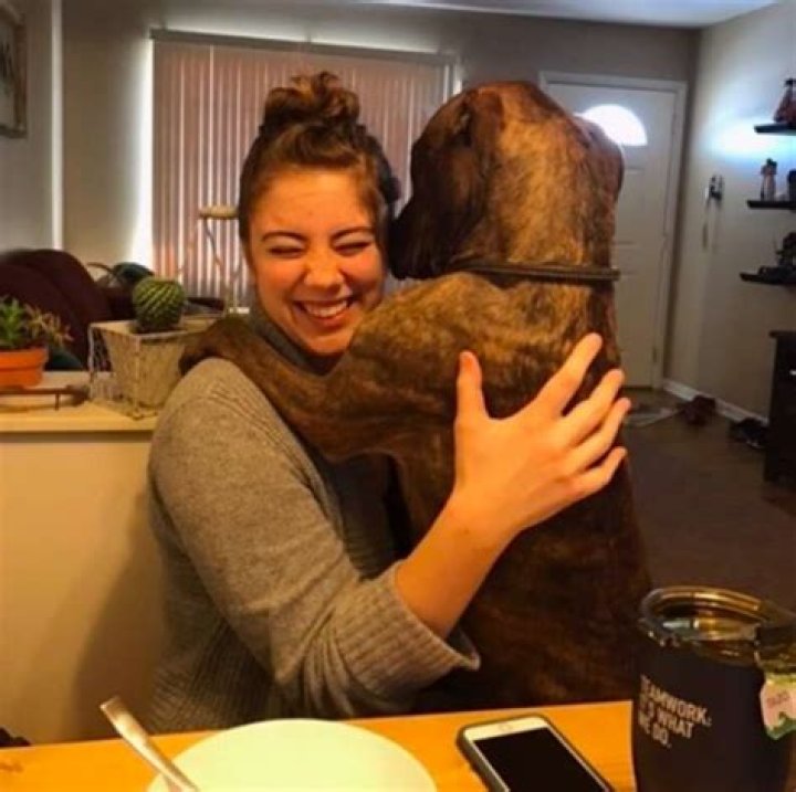 Do dogs like being baby talked?