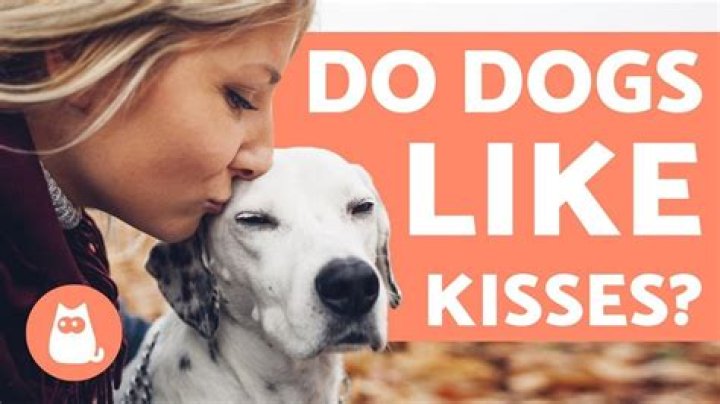 Do dogs like when we kiss them?