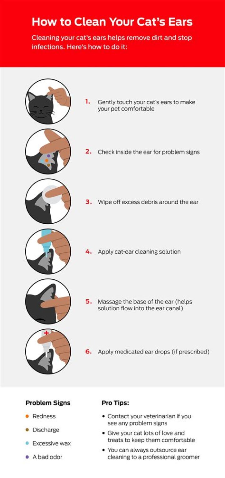 Do I need to clean my cat's ears?