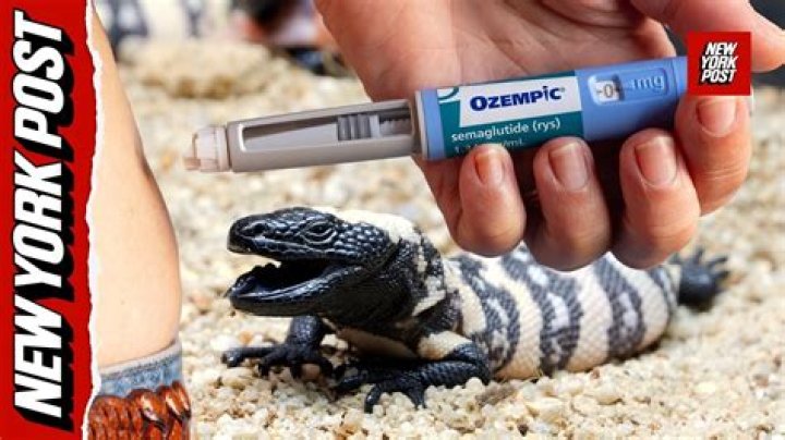 Do lizards spit venom?