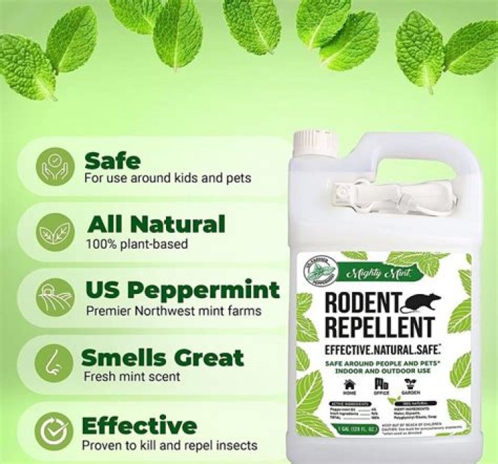 Do mice hate the smell of vinegar?