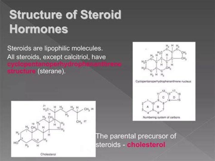 Do steroids help PANDAS?