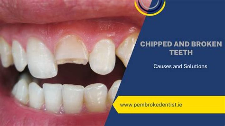 Do teeth grow back if chipped?