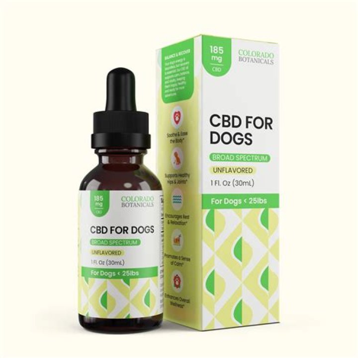 Do vets recommend CBD oil for dogs?