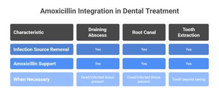 Does amoxicillin help with abscess tooth?
