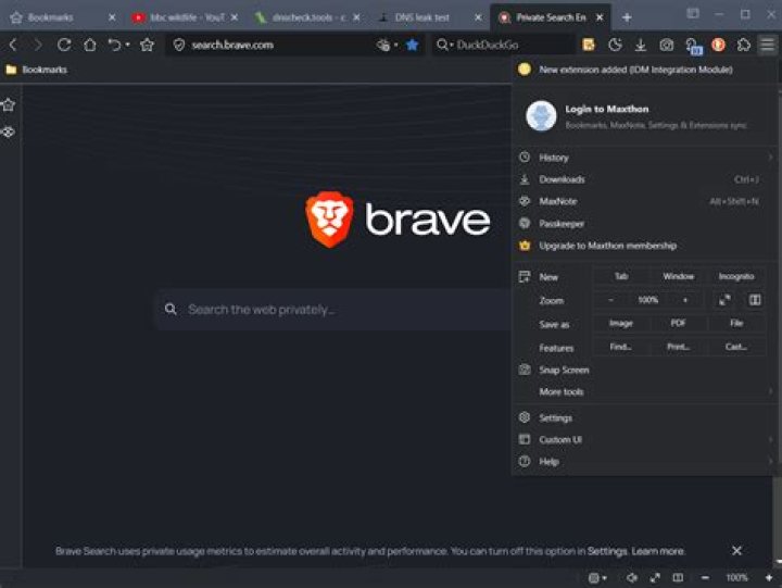 Does Brave steal your info?