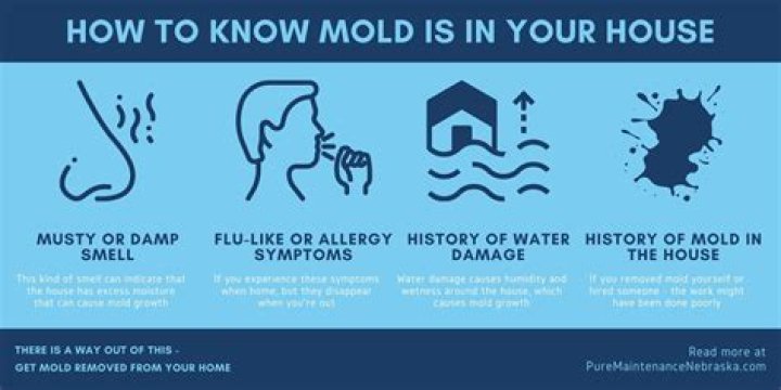 Does cold house cause mold?