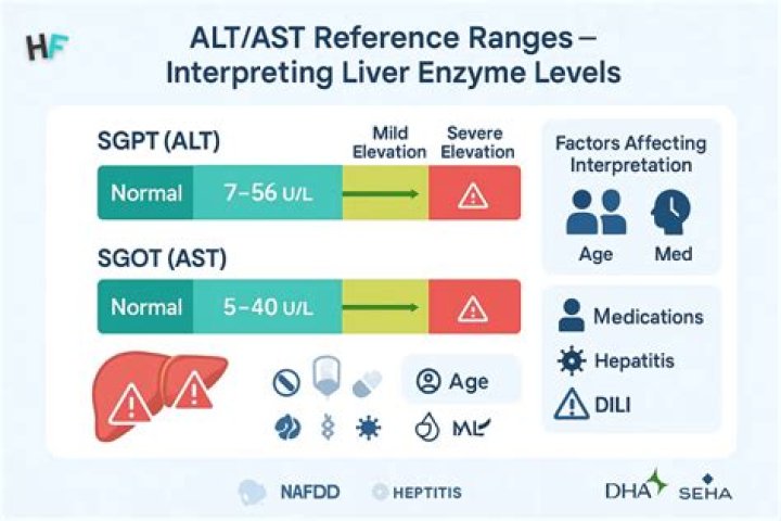 Does High ALT mean liver damage?