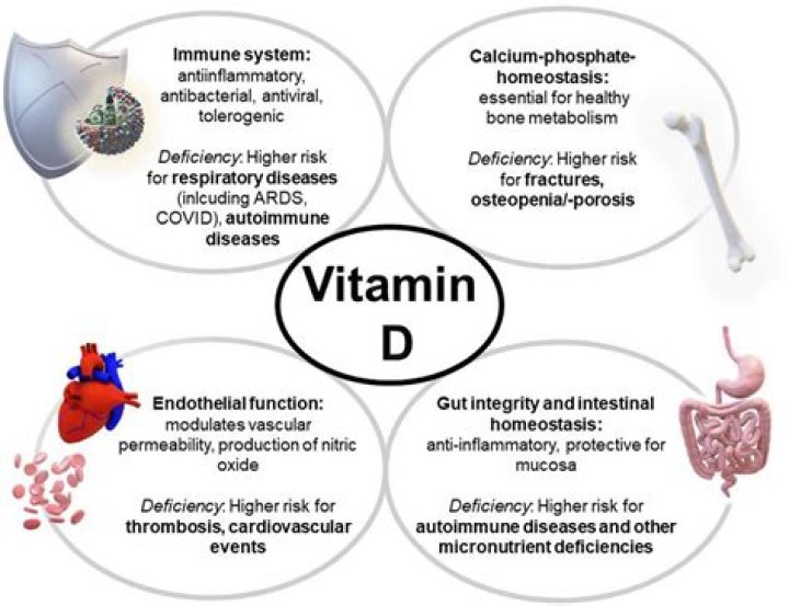 Does low vitamin D cause weightloss?